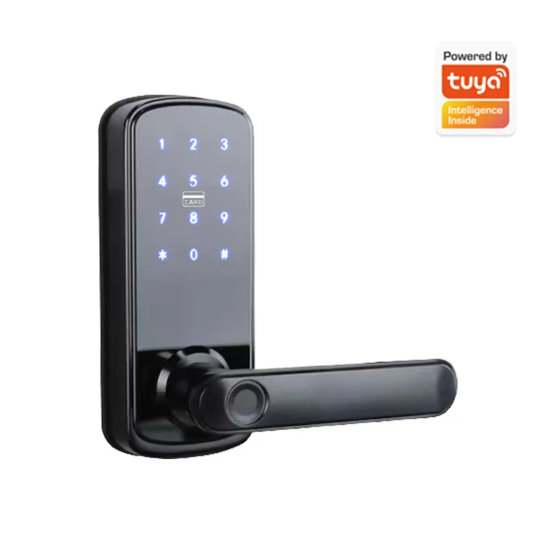 Houten deur met slim elektroni - Smart Door Lock Wifi recensie en prijs