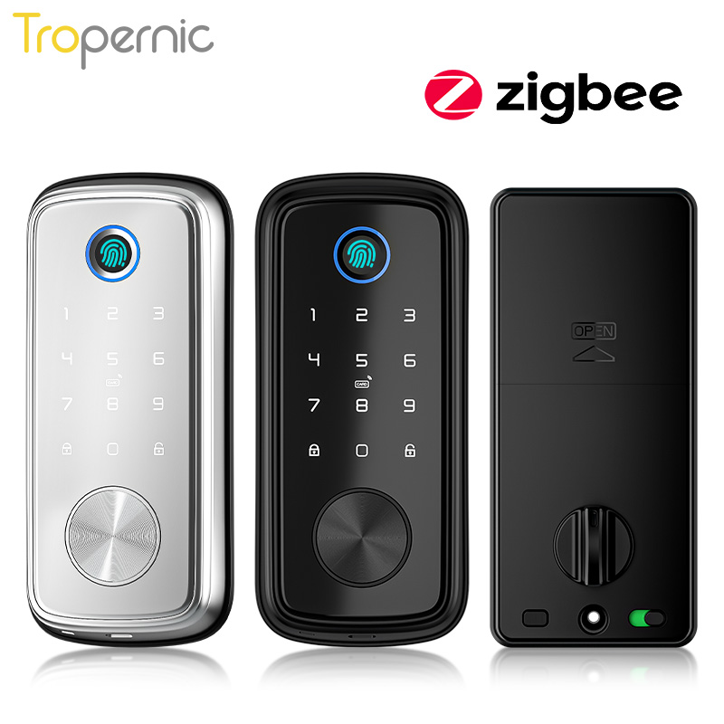 Tuya Zigbee Deur Nachtschoot S - Smart Door Lock Wifi recensie en prijs